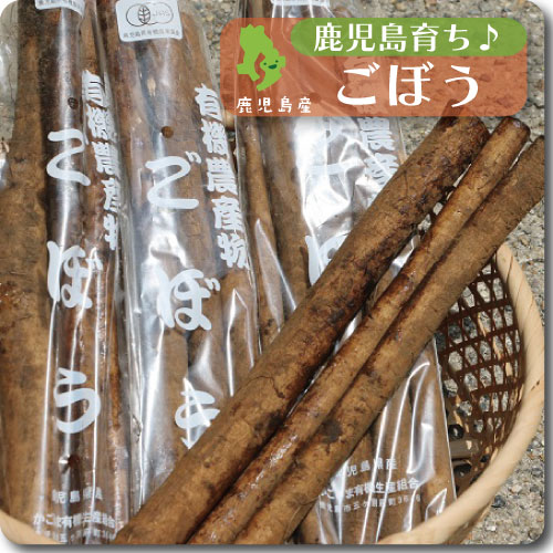 ごぼう　
