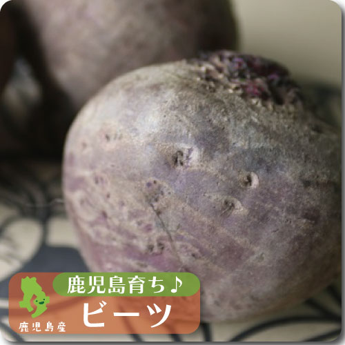 赤ビーツ