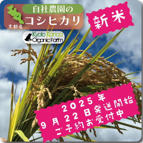 自社農園のお米コシヒカリ