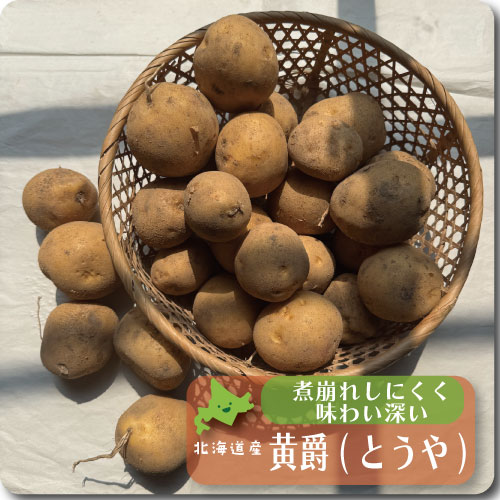 とうや