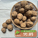 じゃがいも