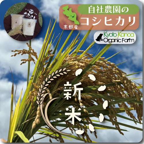 自社農園のお米コシヒカリ