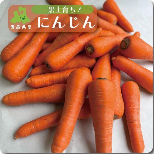 黒土育ちのにんじん