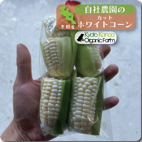 訳アリホワイトコーン