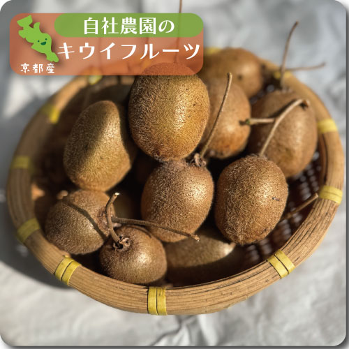 キウイフルーツ