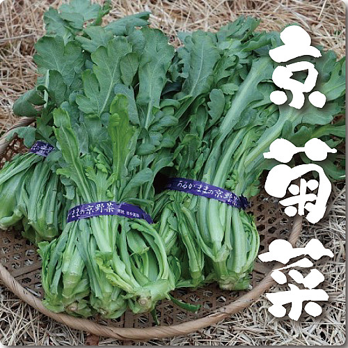 京菊菜(丸葉春菊)
