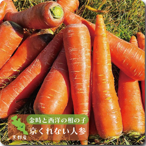 京くれない人参